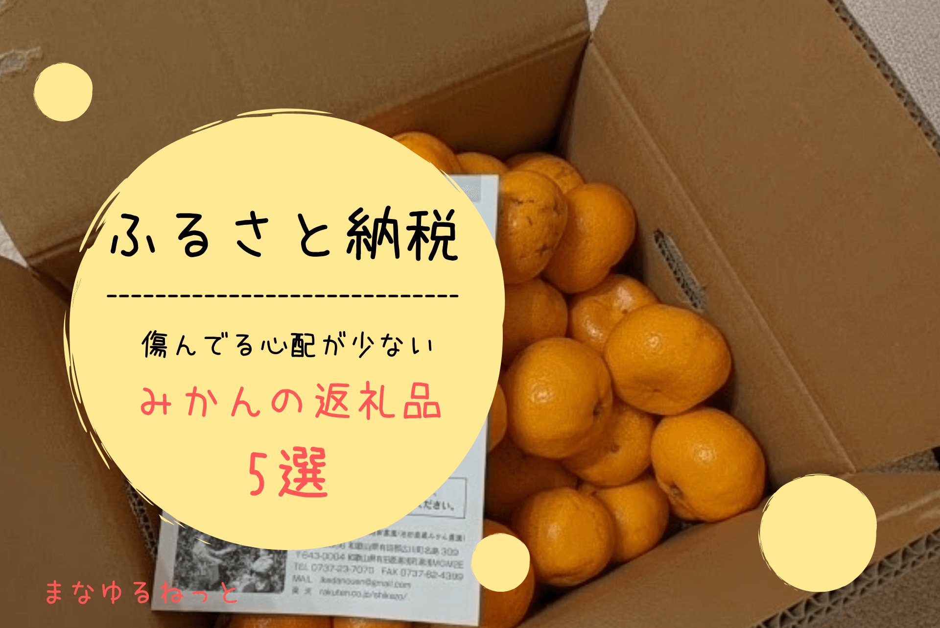 ふるさと納税】腐っている心配がないみかんの返礼品5選